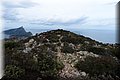 P5209741.JPG