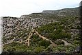 P5209747.JPG