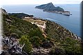 P5209750.JPG