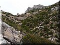 P5209769.JPG