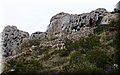 P5209773.JPG