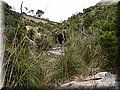 P5209774.JPG