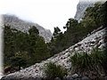 P5249816.JPG
