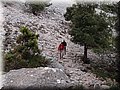 P5249817.JPG