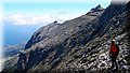 P5249971.JPG
