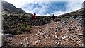 P5249981.JPG