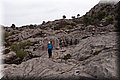 P5270096.JPG