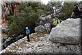P5270123.JPG