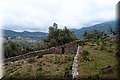 P5270234.JPG