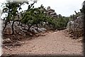 P5270277.JPG