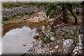 P5270292.JPG
