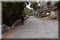 P5270320.JPG