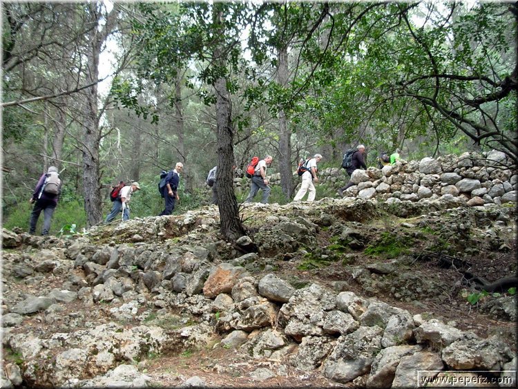 Imagen 003.jpg