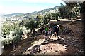 P5300339.JPG