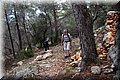 P5300356.JPG