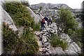 P5300395.JPG