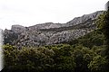 P5300404.JPG