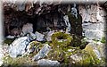 P5300431.JPG