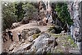 P5300447.JPG