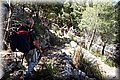 P5300495.JPG