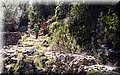 P5300507.JPG