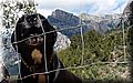 P5300510.JPG