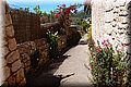 P5300517.JPG