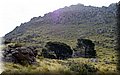 P6010584.JPG