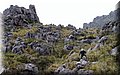 P6010587.JPG