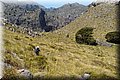 P6010648.JPG