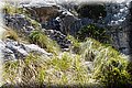 P6010670.JPG