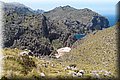 P6010671.JPG