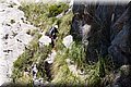P6010685.JPG