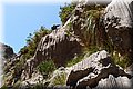 P6010709.JPG