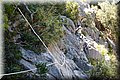 P6030756.JPG