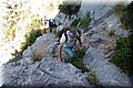 P6030781.JPG