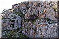 P6030800.JPG