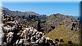 P6030855.JPG