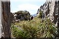 P6030864.JPG