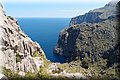 P6030900.JPG