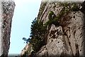 P6030981.JPG