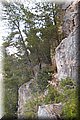 P6051085.JPG