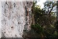 P6051091.JPG