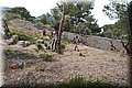 P6051117.JPG