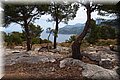 P6051134.JPG