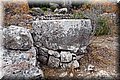 P6051140.JPG
