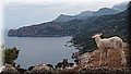 P6051149.JPG