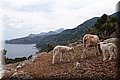 P6051152.JPG