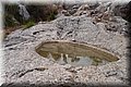 P6051157.JPG
