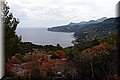 P6051164.JPG